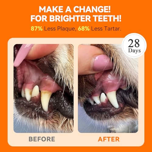 Image of PUAINTA Dog Teeth Cleaning Powder - Dental Powder for Dog Bad Breath Treatment Freshener - Dogs Plaque Off and Tartar Remover - Cat Dog Dental Care (3.17 Ounce (Pack of 1))
