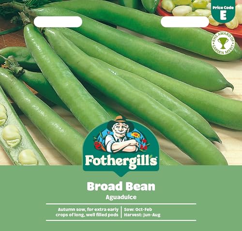 Fothergills Broad Bean Aguadulce Flower Seeds 45 Seeds Sow: Oct-Feb Green