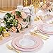 WDF 60pcs Pink Plastic Plates - 10.25inch Baroque Pink And Gold Disposable Dinner Plates for Upscale Parties -Special for Valentine's Party, Wedding, Birthdays