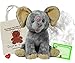 Elefante da 40 cm di Peluche da Riempire - Kit da Creare senza Cucire - Crea il tuo Peluche Ultra-Morbido