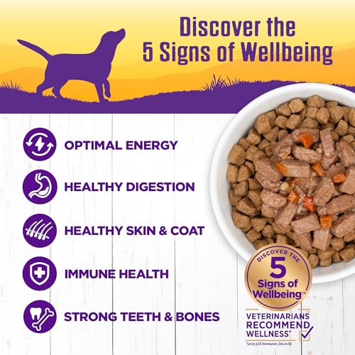 Image of Wellness Complete Health Stew Adult Canned Wet Dog Food, Grain Free, Natural, Turkey Recipe, 12.5 oz, Pack of 12 Cans