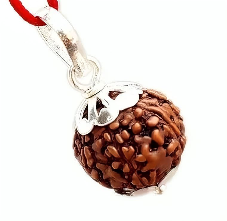 Natural 14 Mukhi Rudraksha
