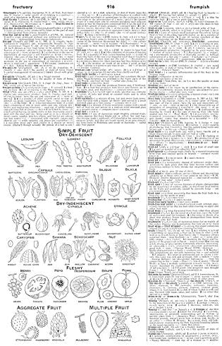 Webster's Third New International Dictionary: Since 1847 the Ultimate Word Authority for Schools, Libraries, Courts, Homes, and Offices