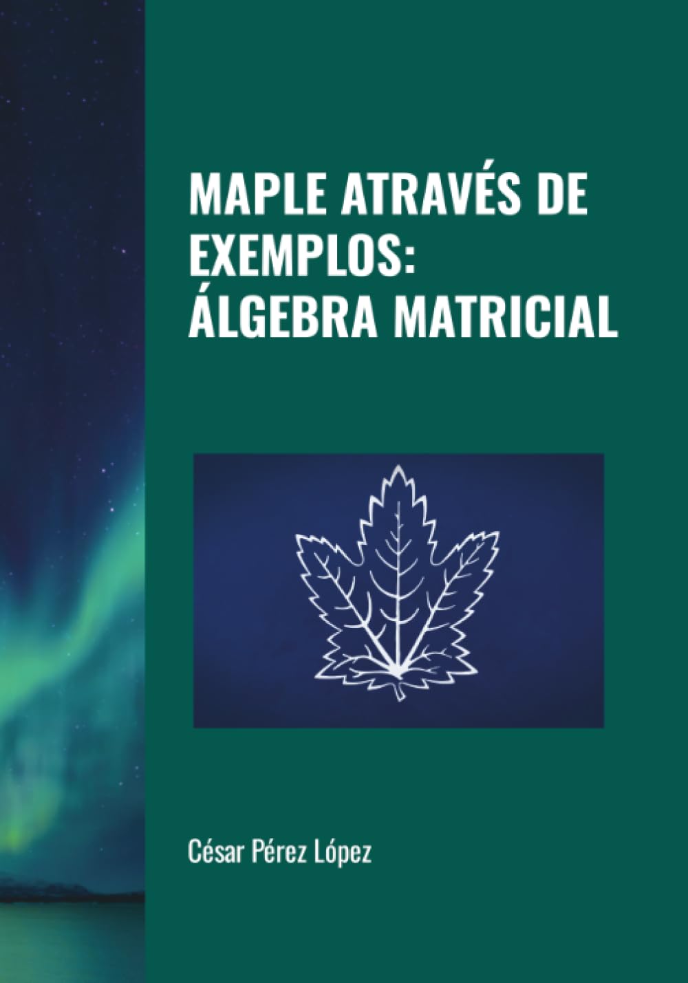 MAPLE ATRAVÉS DE EXEMPLOS: ÁLGEBRA MATRICIAL