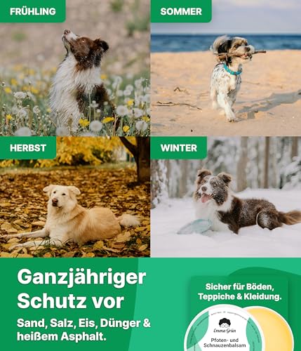 Emma Grün® Pfotenbalsam 100ml - Regeneriert & Stärkt Rissige Tiernasen & Pfoten - Mit Jojoba, Propolis & Bienenwachs - Natürlicher Pfotenschutz & Pfotenpflege - Hundepfoten Balsam Made in Germany