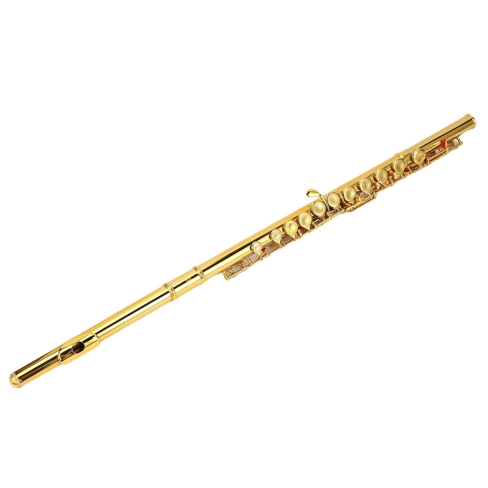 Flauta C de cuproníquel con 16 teclas y llave E dividida, orificio cerrado, ergonómica para principiantes, kit completo con estuche y accesorios, plateada