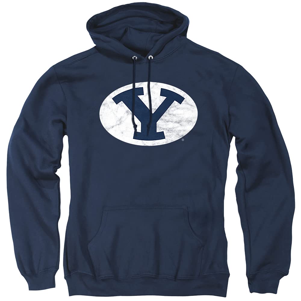 LOGOVISION Official Collegiate Distressed Primary Logo Adult Pullover Hoodie Collection — view 451