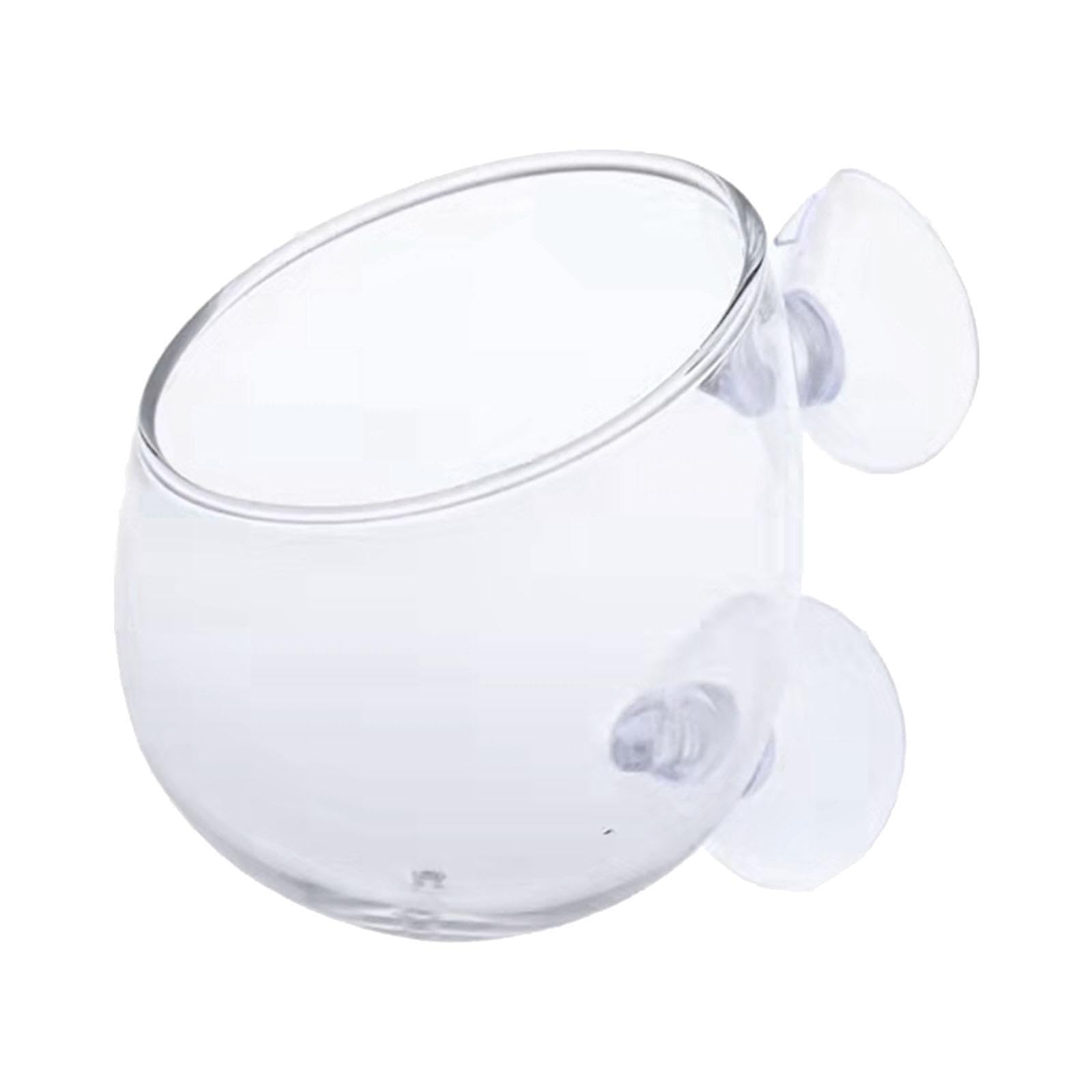 Creations Pets Products Glass Aquarium Plant Cup Hanging Glass Tiny Plants Cultivation Pot Fish Tank DecorPet Supplies|Fish & Aquariums|Decorations-image-15