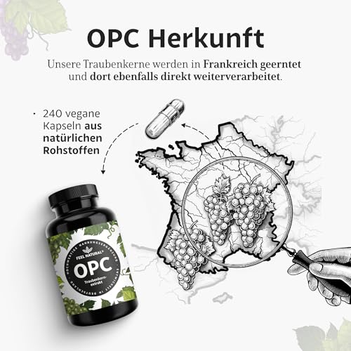 OPC Traubenkernextrakt – 240 Kapseln mit 1000mg OPC Extrakt – Höchster OPC Gehalt nach HPLC – aus französischen Weintrauben – Vegan, hochdosiert, in Deutschland produziert