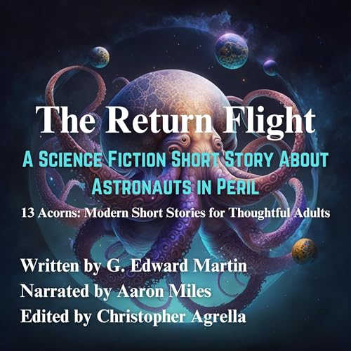 The Return Flight by G. Edward Martin episode artwork