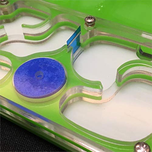 ZSBY Mier Farm Insect Ant Villa Ant-druif M Vliegtuig Vocht Met Voedingsgebied Mier Nest, mier Boerderij Acryl, insect… - Afbeelding 5