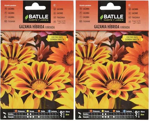 Semillas Batlle Gazania HIBRIDA Variada (Paquete de 2)