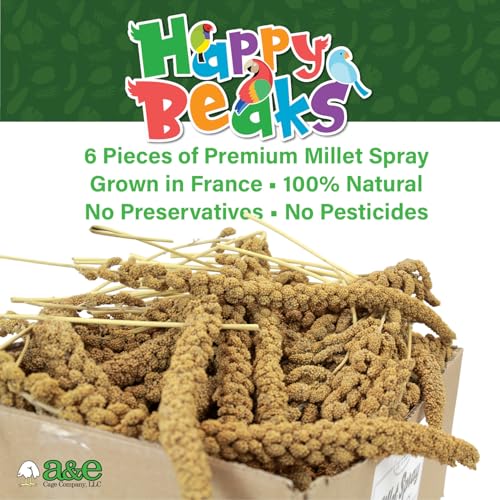 A&E Cage Co Premium French Millet Spray for Birds - 6 Piece, 3oz Pack Natural Spray Millet Treat - Healthy Bird Treat for Parakeets, Budgies, Cockatiels, Finches, Canaries & Small Birds - Image 2