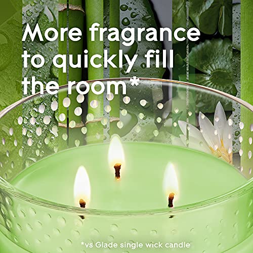 Glade Candle Blissful Bamboo & Waterlily, Fragrance Candle Infused With Essential Oils, Air Freshener Candle, 3-Wick Candle, 6.8 Oz, 3 Count #TOP2