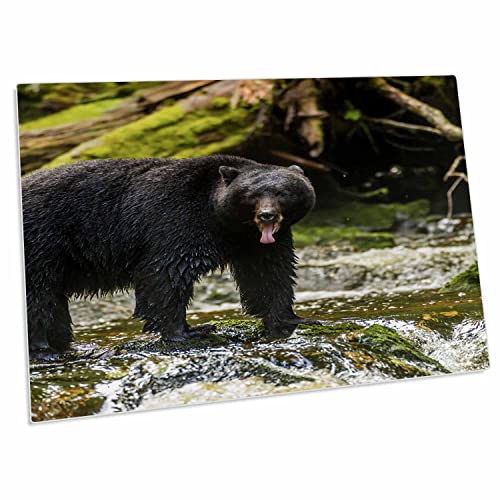 3dRose Black Bear Desk Pad 58x40 cm
