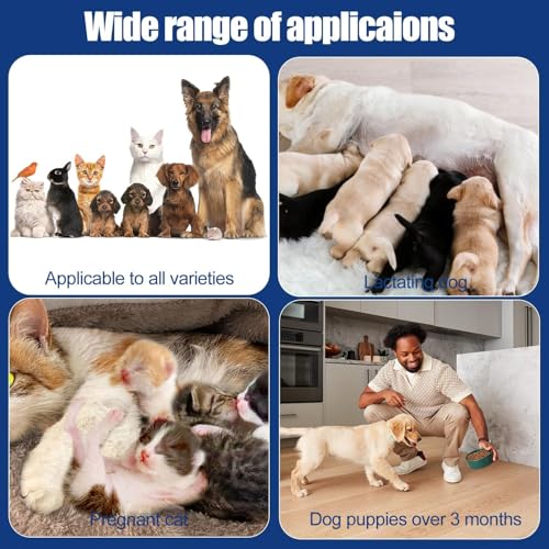 MagiSel Wundgel für Hunde, Wundsalbe für Hunde & Katzen, Natürliche Inhaltsstoffe, Reduziert Juckreiz Und Hautirritationen, für alle Tierarten geeignet (20ml)