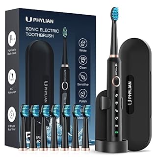 PHYLIAN Sonic Electric Toothbrush for Adults - Electric Rechargeable Toothbrush with Holder 8 Brush Heads, Travel Case, Power Toothbrushes 3 Hours Fast Charge for 60 Days (B09MTRXRNK)