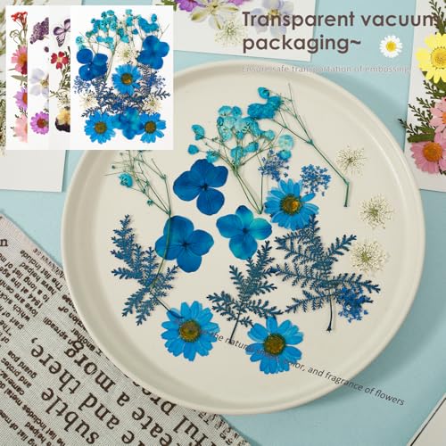 Set de flores secas prensadas 81 piezas multicolor miniatura 4