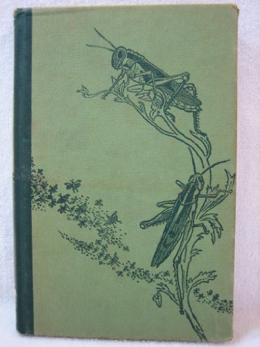 Insects of Southern Africa