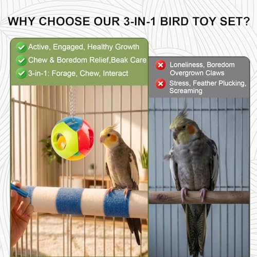 Image of Bird Perch for Cage, 3 Pcs, Parrot Perch for Conure, Cockatiel & Parrot