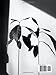 Noir: Coffee Book Black and White Art Minimalist Coffee Books Decor Living Room (Coffee Table Books)