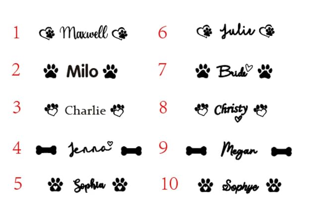 Foto 2 de 8 de Hainadian Cuenco personalizado para perro, cuenco personalizado con nombre, extra pequeño (15 x 5 cm)