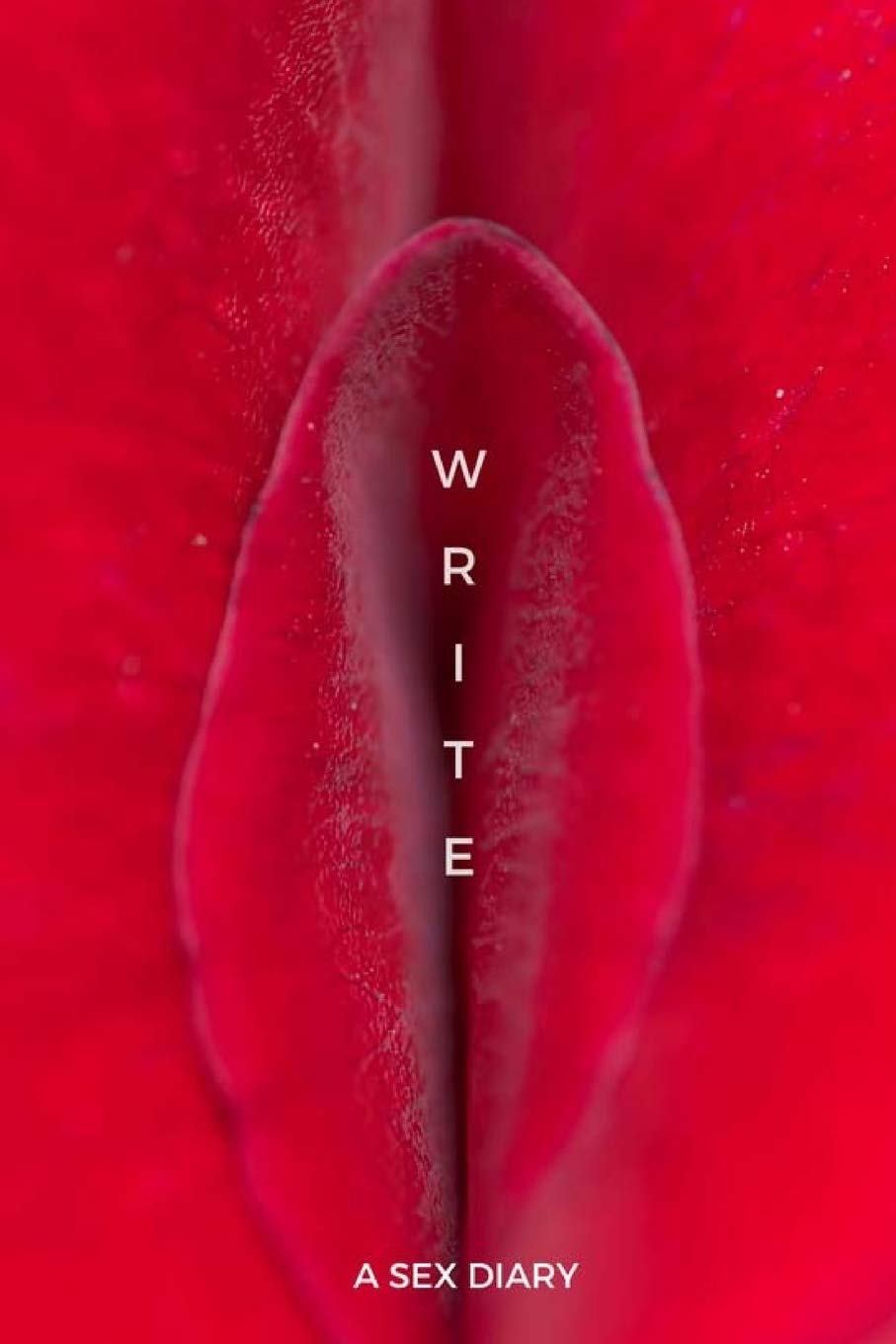 write a sex diary journal