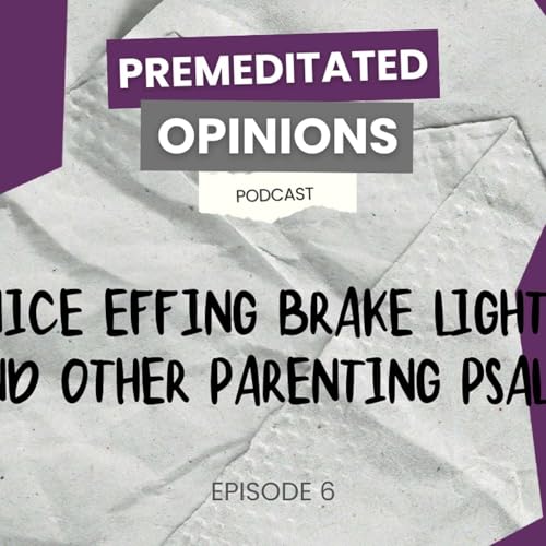 『Nice Effing Brake Lights (And Other Parenting Psalms)』のカバーアート