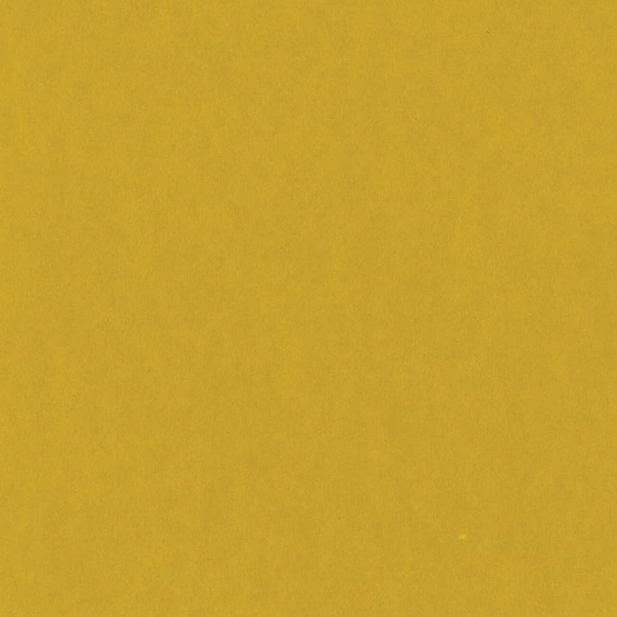 Bazzill CS12-4556 Bazzill Card Shoppe Heavyweight Cardstock 12X12-Gold Coins Pack Of 25