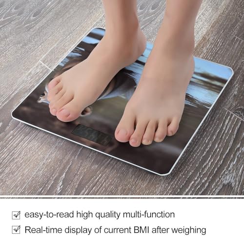 Báscula Digital Baby Hippos 400 lb Vidrio Templado miniatura 5