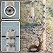 Raccoons Squirrel Baffle Spikes Deterrent, 80in Stainless Steel Pigeons Bird Spikes, Avoided Snakes, Cats, Bird Nests on Fences/Eaves/Porch/Windowsills, Protect Bird Feeder Pole