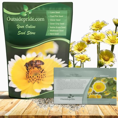 Outsidepride Tidy Tips Seeds - 1/2 lb Annual Dazzling Golden-Yellow & White Blooms, Drought Tolerant, Self-Seeding, Ideal for Rock Gardens, Flower Boxes, Borders, Xeriscape & Low-Water Landscapes