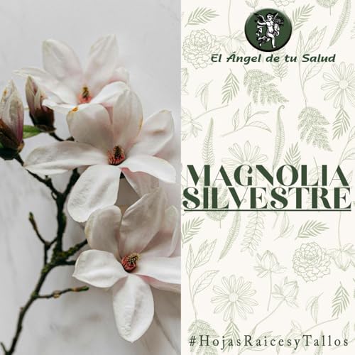 El Ángel de tu Salud - Magnolia Silvestre**