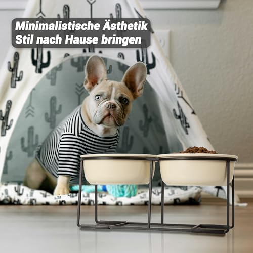 Hundenapf Set Erhöht Hundenäpfe Keramik - Fressnapf Hund 2er Set mit Rutschfestem Metallständer - Doppelnapf Hund für Futter und Wasser - Ideal für Kleine und Mittelgroße Hunde - 2 x 800 ml - Beige