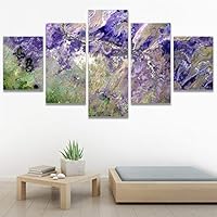 SIGNWIN 5 Panel Canvas Wall Art Abstract Aerial Contemporary Mixed Media Modern Art Multicolor Texture for Home Decorations Ready to Hang - 60