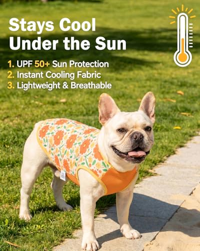 Image of CuteBone Mesh Panel Dog Tank Top - Breathable Dual-Fabric Pet Vest Lightweight Summer Small Dog Shirts - Keep Your Pets Cool, Sun-Protected Outdoors