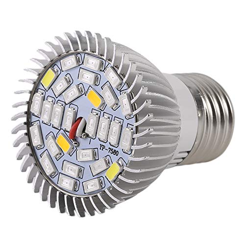 gfjfghfjfh La Planta de Cultivo de Flores de Invernadero de Planta de luz