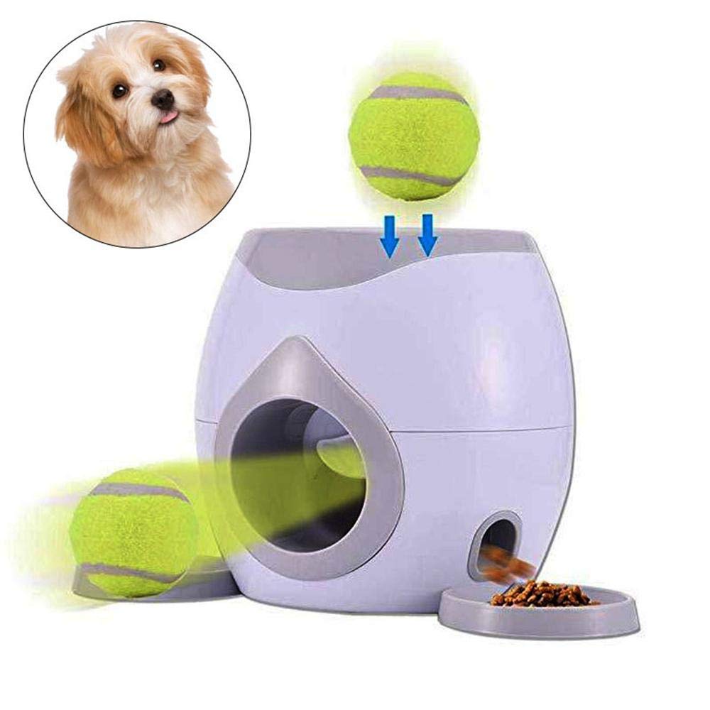 dog toy automatic