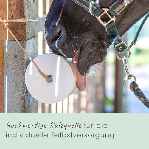 cdVet Leckstein Meersalz Vitalis 5 kg - Natürliche Salzzufuhr für Tiere, Reich an Elektrolyten und Mineralien