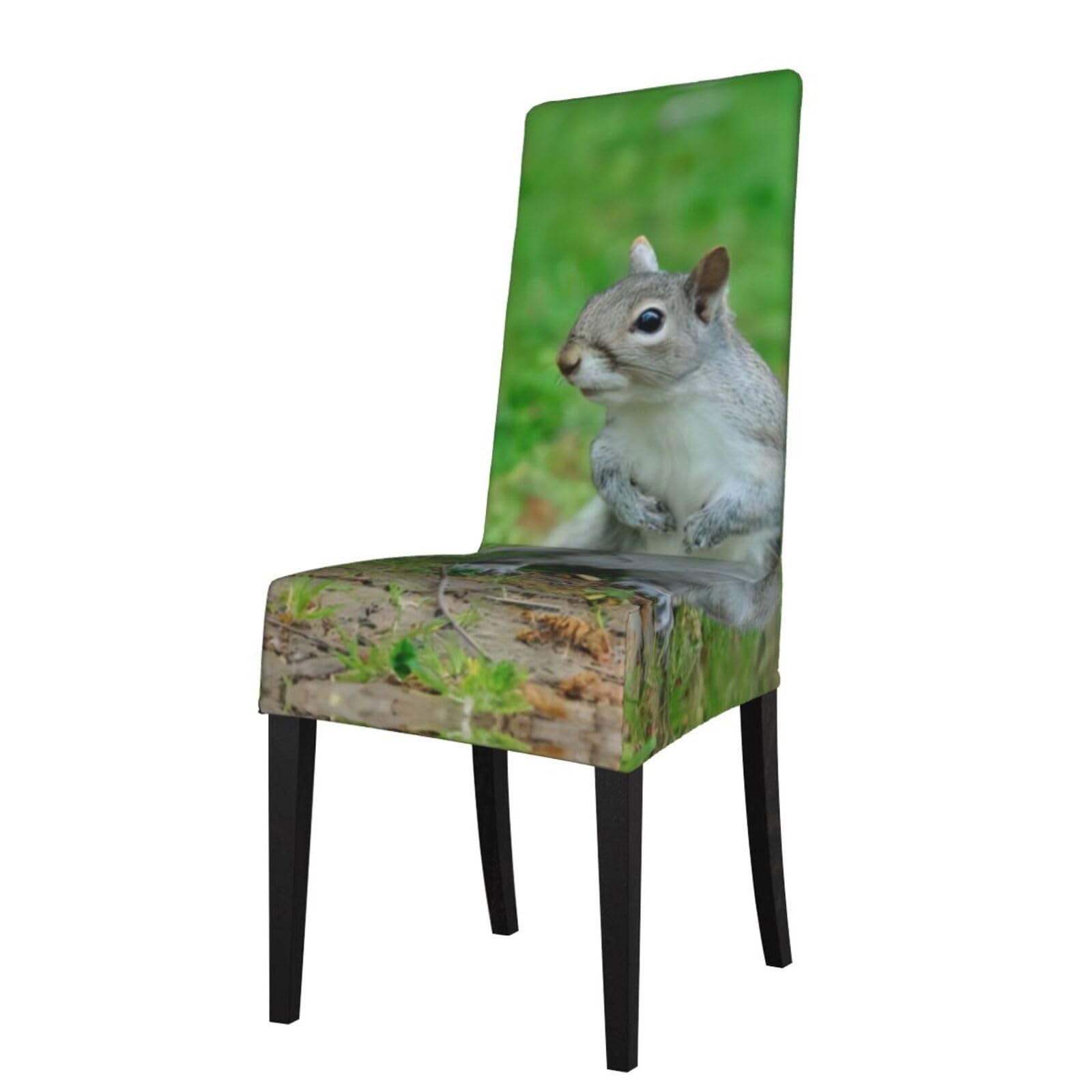 HLSBSSL Squirrel Printed dining chair covers, wrinkle-resistant and iron-free, suitable for hotels, banquets, and conferences