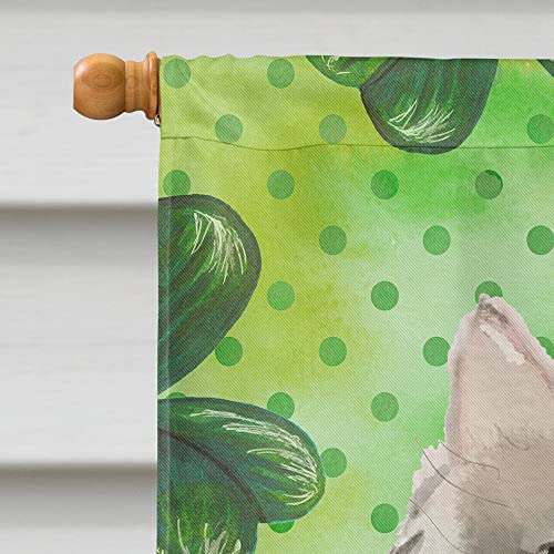 Ragamuffin Shamrock Flag grand format en canevas multicolore
