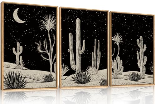 DRACIT Desert Night Cactus Framed Wall Art Set,Modern Southwestern Black and White Wall Decor,Nature Rustic Moon and Stars Artwork for Living Room,Bedroom-24 x36 x3
