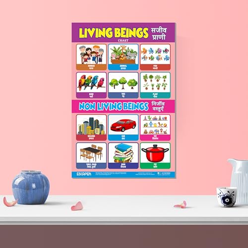 Image of ESCAPER Living Beings Educational Charts for Kids, Charts for Kids Learning (11.5 x 17.5 inches), Kids Study Material, Kids Learning Books, Educational Posters