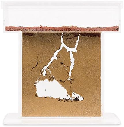 Sand Ant Farm T (Anthill, Formicarium, Educational, Ants)