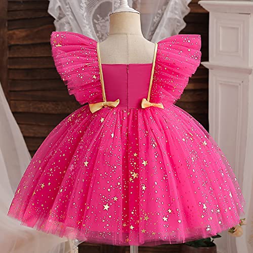 Image of HNXDYY Little Girls Princess Dress Girls Fancy Party Costume
