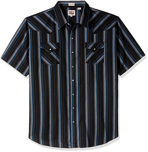 ELY CATTLEMAN Men's Short Sleeve Stripe Western Shirt - Main Image