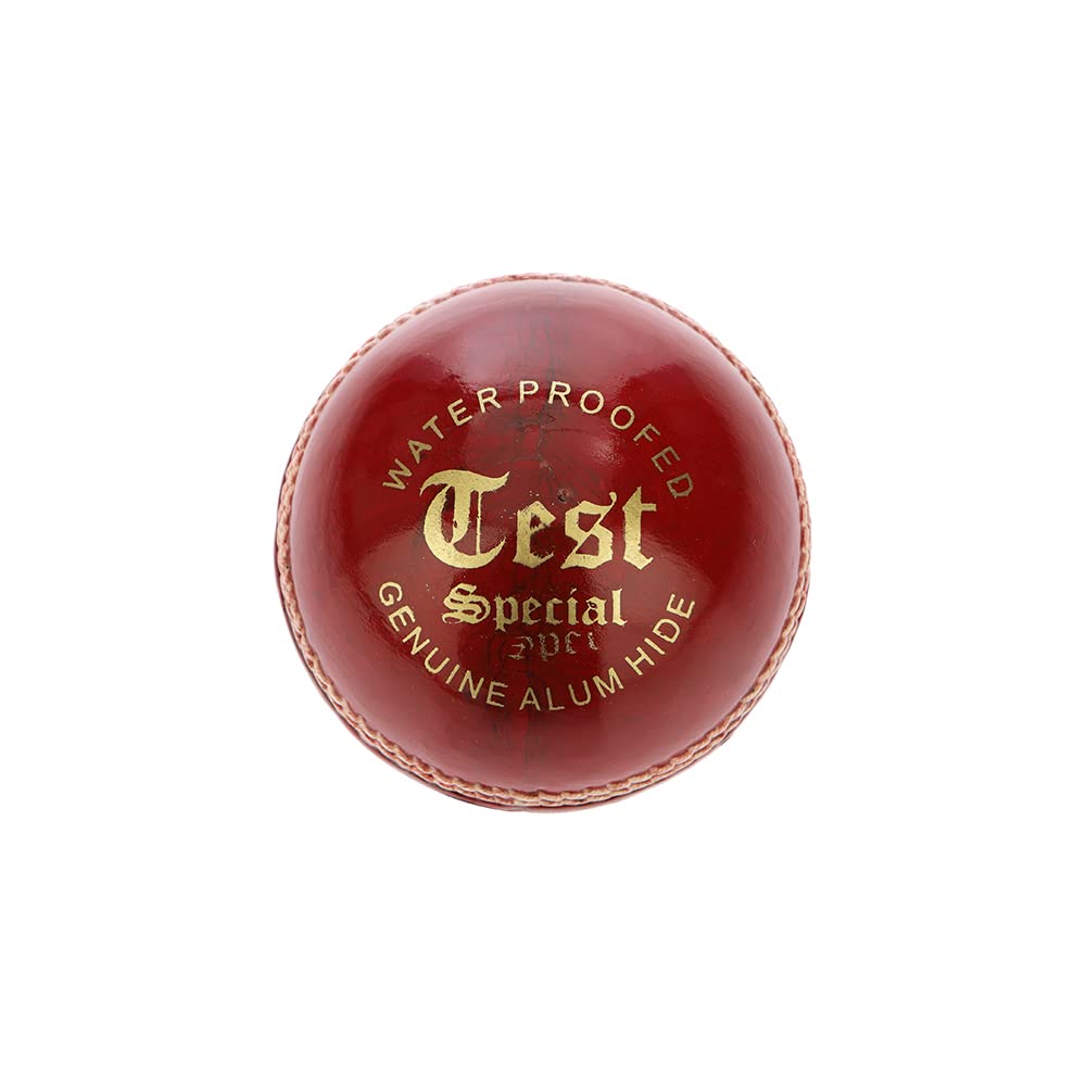 Pro Game Test 4 Cup 50-70 Over Special for Test Match Series 5 1/2 Oz(150-160 Gm) Leather Ball (RED) (B0C1JSBR95) Amazon Price History, Amazon Price Tracker