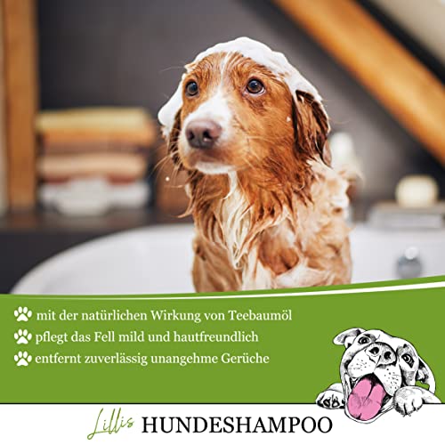 Lillis Hundeshampoo 500ml mit Teebaumöl gegen unangenehme Gerüche, hilft bei Juckreiz und Ungezieferbefall, für alle Hunderassen, für glänzendes Fell und gepflegte Haut, antibakteriell