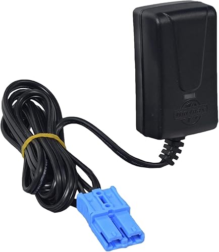 AlveyTech Cargador de batería de 12 voltios y 1.0 amperios para juguetes de paseo Kid Trax de 12 V - Reemplazo para sistemas de 12 V, con conector