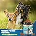 Dog Probiotics for Dogs, 200 Soft Probiotics Chews for Dogs Digestive Health Gut Health & Immune System, with 6 Probiotics & Digestive Enzymes, Support Itchy Skin, Constipation & Diarrhea Relief